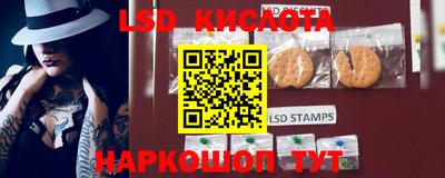 гидропоника Гагарин