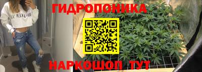 гашишное масло Гай